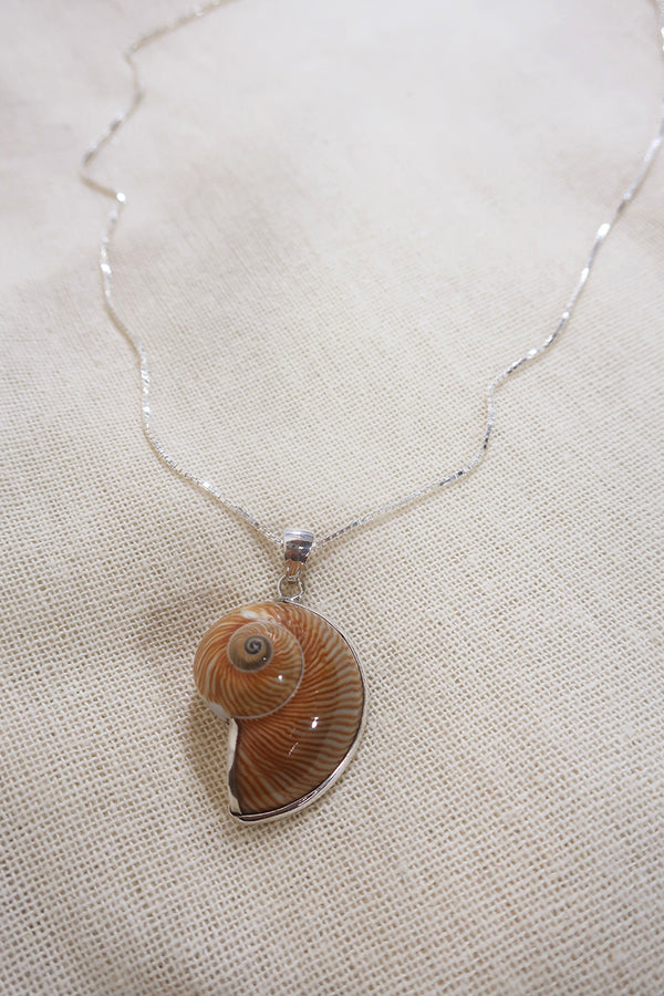 Soft Brown Fossil Shell 925 Silver Necklace by All ABout Audrey