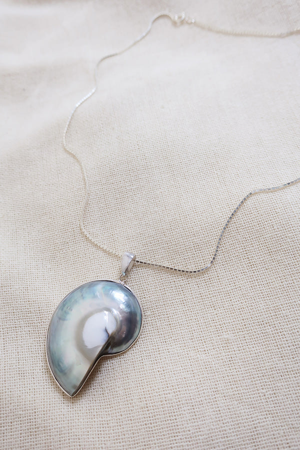 Large Abalone Fossil Shell 925 Silver Necklace by All About Audrey