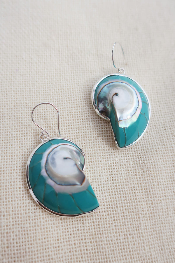 Turquoise Fossil Shell Earrings in 925 Silver by All About Audrey