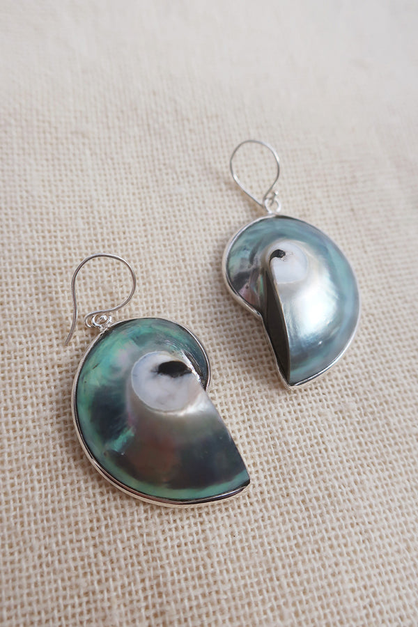 Abalone Fossil Shell Earrings in 925 Silver by All About Audrey