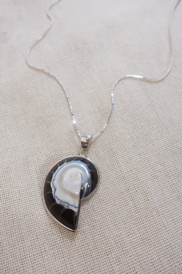 Medium Abalone Fossil Shell 925 Silver Necklace by All About Audrey