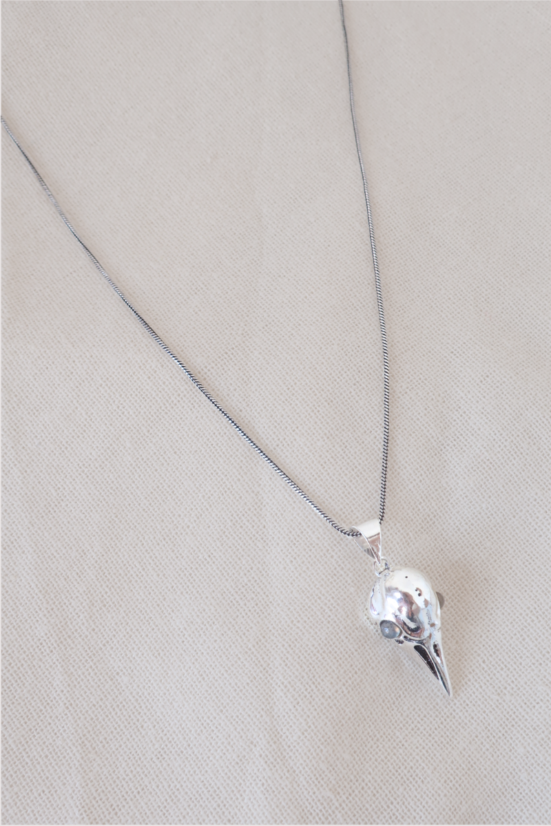Bird Skull Silver Plated Necklace