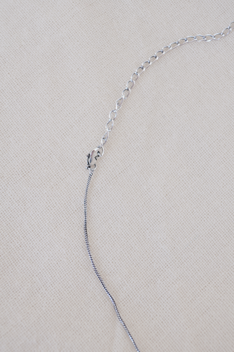 Bird Skull Silver Plated Necklace