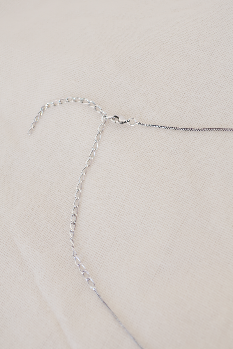 Lion's Bite Silver Plated Necklace