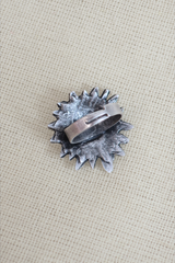 Solar Power Silver Plated Ring