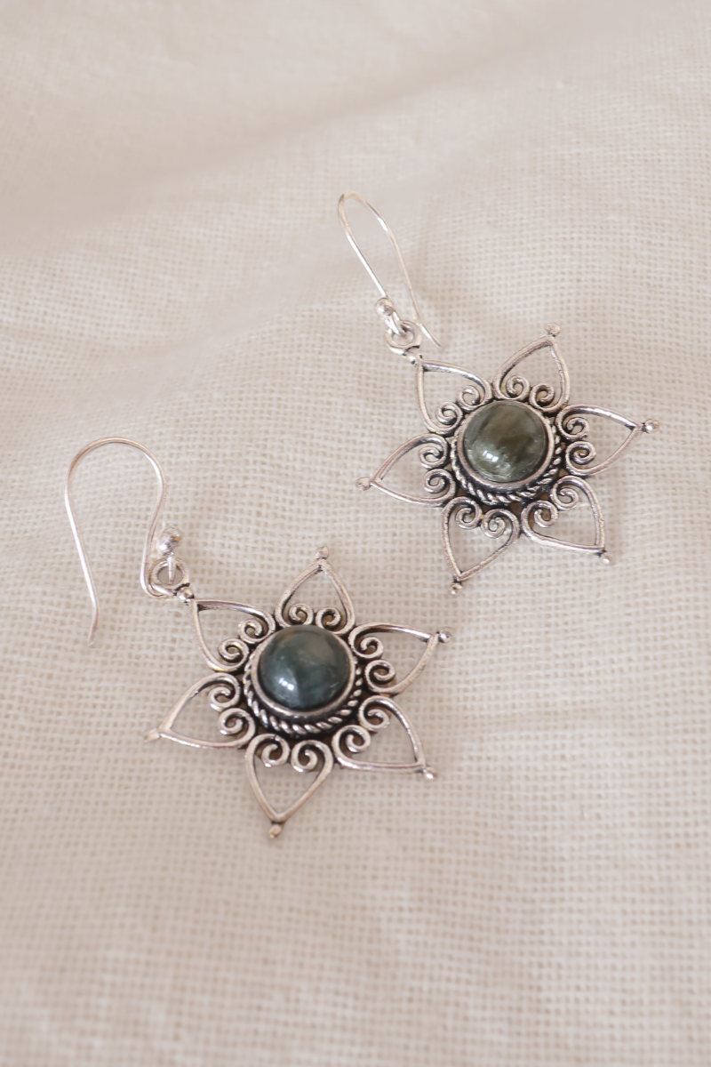 Labradorite
Stone Petal Silver Plated Earrings