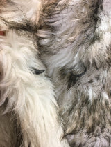 Vintage White & Grey Faux Fur Coat - Size M
